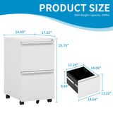 BIZOEIRON 2 Drawer Mobile File Cabinet,Under Desk Metal Filing Cabinet with Lock and Wheels,Rolling File Cabinet for Home Office Legal/Letter/A4 File BIZOEIRON