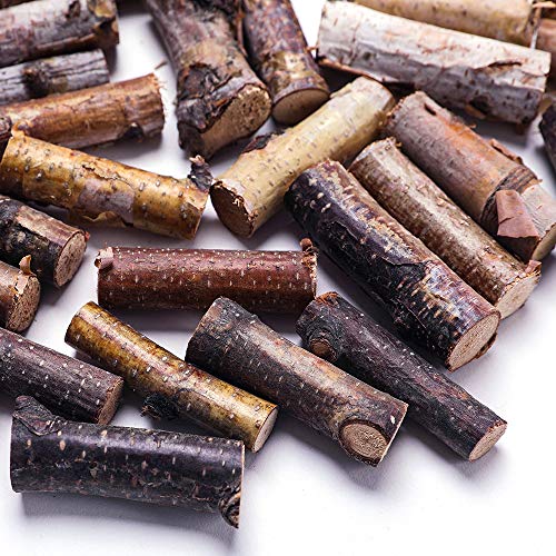 Byher Craft Sticks, Mini Wood Log for Rustic Home Decor - Farmhouse Centerpiece Decor Twigs (Craft Sticks-) BYHER
