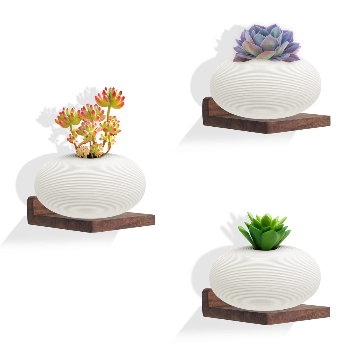 NIUBEST Small Floating Shelf,5x5 Inch Dark Walnut,Set of 3 Small Wall Shelves for Bedroom Living Room Bathroom Kitchen Decor NIUBEST