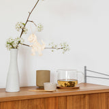 Wood Cutout 1 Set of Wooden Dinosaur Cutouts Unfinished Animal Pieces Rustic Predrilled Slices Wood Drawing Pendant Animal Craft Embellishments for VILLCASE