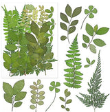 170Pcs+ Real Dried Pressed Flowers Leaves Petals for Crafts-Beautiful Pressed Flowers Daisies for Resin Jewellery, Pressed Flowers Nail Pendant Vignee