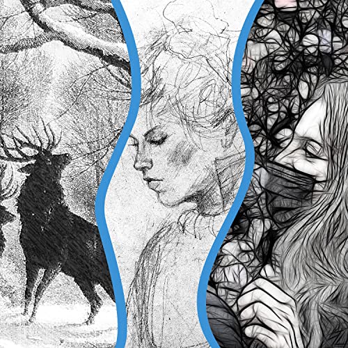 Bellofy Artist Drawing Set Sketching Drawing Kit -100 Sheet Sketchbook - Variety of Sketch/Charcoal Pencils Set for Drawing - Shading Pencils For Bellofy