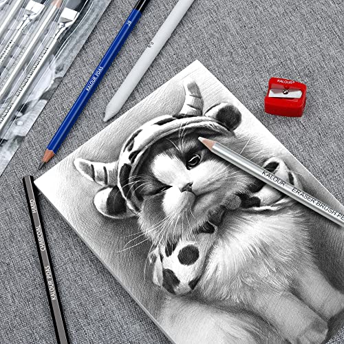 KALOUR Detail Eraser Pencil - 6pc Eraser Pencils with Brush and 2pc Sharpener,Erasing Small Details or add Highlights for Sketching, Charcoal KALOUR