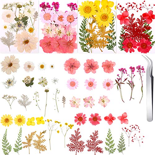 Nuanchu 109 Pieces Dried Pressed Flowers for Resin, Natural Pressed Dry Flowers Leaves Mixed Multiple Dried Flowers with Tweezer for DIY Art Nuanchu