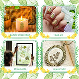 84 Pieces Dried Pressed Leaves Dried Flowers for Resin Dried Leaves for Resin Mini Dried Flowers for Crafts Dried Greenery Assorted Dried Leaves for Timtin