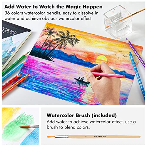 Shuttle Art Professional Drawing Kit, 123 Pieces of Drawing Pencils Set Includes Colouring Pencils, Watercolor, Charcoal, Graphite and Sketch, Ideal