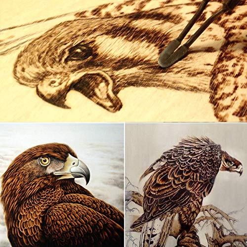 Wood Burnning Kit,Professional Pyrography Wood Burner,Adjustable Temperature Woodburner Machine with Pen for Adults,Wire Tips (Black) Arokimi