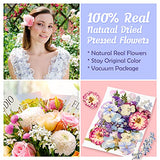 Blaflo 35+pcs Purple Flowers for Resin Model, Real Pressed Flowers Dry Leaves Bulk Natural Herbs Kit for Scrapbooking DIY Art Crafts, Epoxy Jewelry, Blaflo