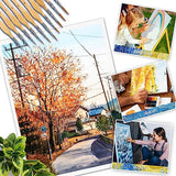 Miniature Paint Brushes, 10PC Fine Detail Paint Brush Set, Mini Small Painting Brushes for Art, Crafts, Acrylic, Watercolor, Oil, Model, Face, KIASON