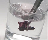 Engineer ZC-28 Rust Remover, Neji-Saurus Screw Removal Liquid 100g (Made in Japan) ENGINEER