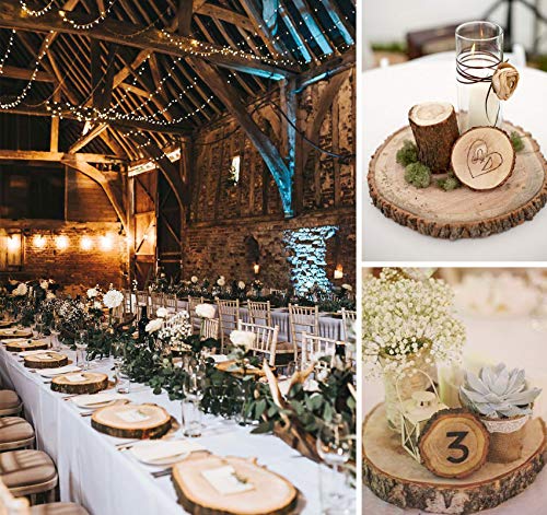 Lemonfilter Natural Wood Slices 12 Pcs 4.7-5.1 Inches Craft Wood Kit Wooden Circles Unfinished Log Wooden Rounds for Arts Crafts Wedding Christmas Lemonfilter