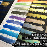 Iridescent Acrylic Paint, Set of 16 Chameleon Colors 60ml 2 OZ Bottles, High Viscosity Shimmer Paint, Non-Toxic and Fade-Resistant for Artists, HissiCo
