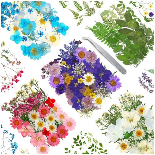 170Pcs+ Real Dried Pressed Flowers Leaves Petals for Crafts-Beautiful Pressed Flowers Daisies for Resin Jewellery, Pressed Flowers Nail Pendant - WoodArtSupply