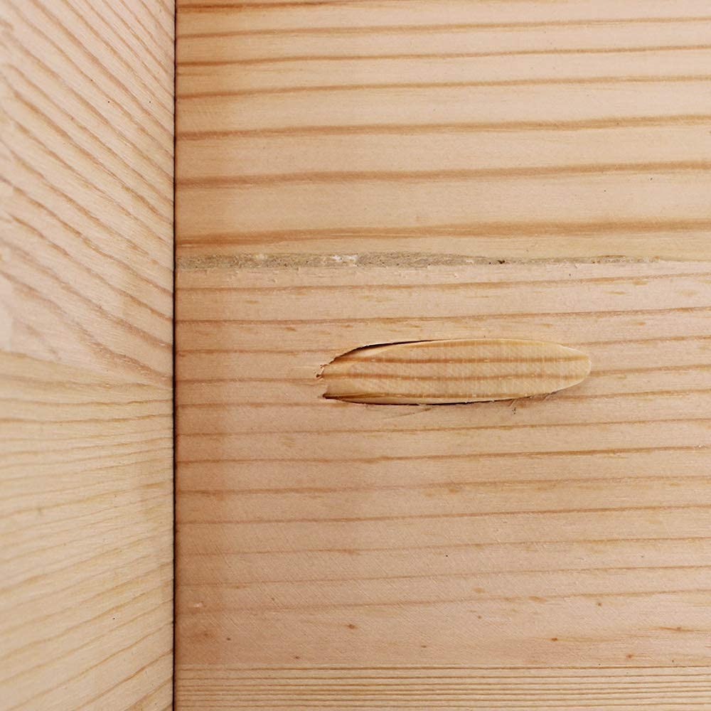 AUTOTOOLHOME 100 Pack Solid Wood Pocket Hole Plugs Pine for Pocket Hole Jig Woodworking Tool with a Storage Case(100) AUTOTOOLHOME