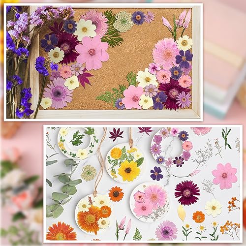 Pressed Flowers Bulk Dried Flower for Resin Mold, Dried Flower Leave Natural with Tweezer for Crafts Christmas DIY Gift Scrapbooking(Rustic Style) Nuanchu