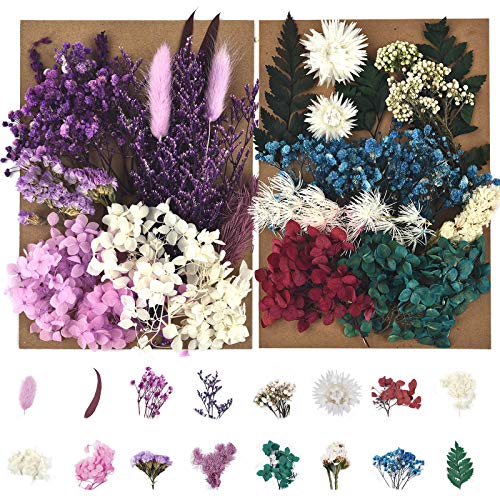 Dried Pressed Flowers for Soap Candle Making and Resin Jewelry Making Pressed Flower (Purple Blue Set) DALARAN