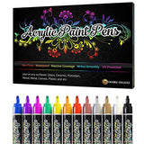 Desire Deluxe Acrylic Paint Pens for Rock Painting, Stone, Ceramic, Glass, Wood, Canvas – Set of 12 Non Toxic Water Based Markers - Great Artists Desire Deluxe