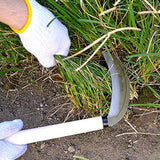 KAKURI Grass Sickle Garden Tool, Japanese Style Kama Weeding Sickle, 7.5" Stainless Steel Blade KAKURI