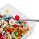 AGCFABS 1 Box Real Dried Flower Resin Mold Fillings UV Expoxy Flower Natural Little Star Flower Head Crystal Epoxy Filler for Epoxy Resin Molds AGCFABS