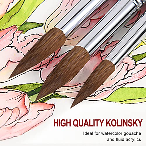 Kolinsky Watercolor Brush Set Pure Kolinsky Sable Hair Pointed Round Art Paintbrushes Premium 6 Pcs Round Tip Paint Brush Artist Acrylic Brush for - WoodArtSupply