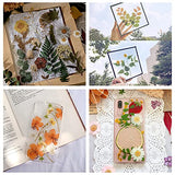 WANDIC Four Leaf Clover Flower Press Kit, Wooden Art Kit Plant Press Book Flower Fruit Press Kit for DIY Art Handicrafts Specimens Outdoor Learning WANDIC