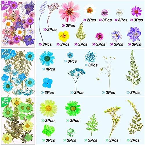 297 Pcs Dried Pressed Flowers Butterfly Stickers for Resin, Real Natural Dry Flowers Leaves Bulk with Tweezers for Art Craft Supplies Scrapbooking - WoodArtSupply