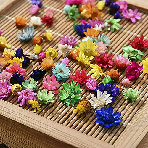 710pcs DIY Dried Flowers Scattered Aromatherapy Candle Epoxy Resin Pendant TEAMWILL