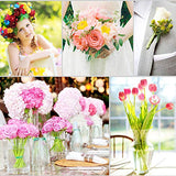 Floral Arrangement Kit,17 Pieces Flower Tools Include Floral Wire Cutter Scissor Floral Tape 22 Gauge Paddle Wire 26 Gauge Stem Wire Pearl Corsage West Bay