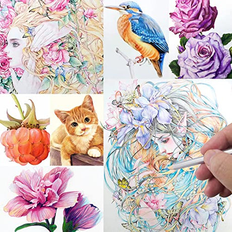FUNLAVIE Colored Pencils 48 Coloring Pencils Premium Professional Art Drawing Pencil for Adults Coloring Book FUNLAVIE