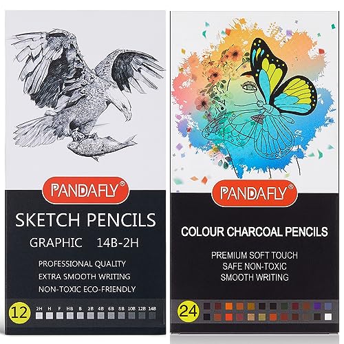 PANDAFLY Professional Drawing Sketching Pencil Set - 12 Pieces Graphite Pencils(14B - 2H) 24 Colors Professional Colour Charcoal Pencils Drawing Set PANDAFLY