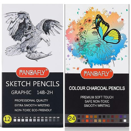 PANDAFLY Professional Drawing Sketching Pencil Set - 12 Pieces Graphite Pencils(14B - 2H) 24 Colors Professional Colour Charcoal Pencils Drawing Set PANDAFLY