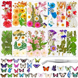 Fabbay 712 Pcs Dried Pressed for Resin with Tweezer Flowers Leaves Butterfly Stickers Dry Flowers Leaves Bulk Natural Dried Flower Scrapbook Fabbay