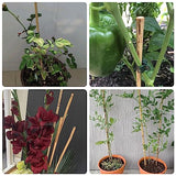 50Pcs Bamboo Plant Stakes for Indoor Outdoor Plants, 0.32''/16 Inch Bamboo Sticks Garden Support Stakes Bamboo Poles Trellis for Tomato Vegetables Avalution