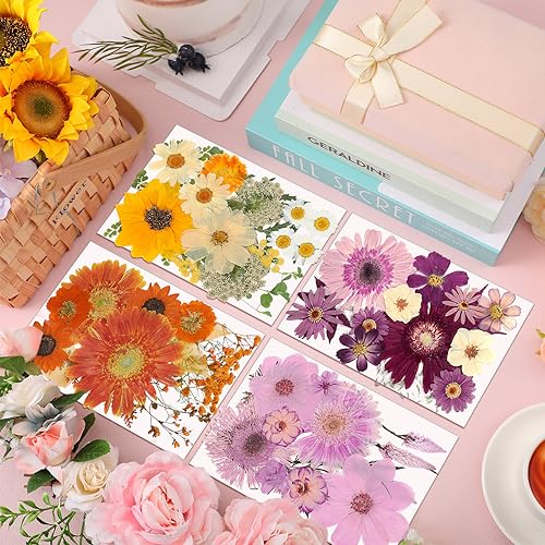 Pressed Flowers Bulk Dried Flower for Resin Mold, Dried Flower Leave Natural with Tweezer for Crafts Christmas DIY Gift Scrapbooking(Rustic Style) Nuanchu