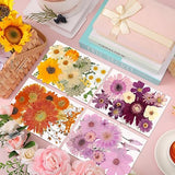 Pressed Flowers Bulk Dried Flower for Resin Mold, Dried Flower Leave Natural with Tweezer for Crafts Christmas DIY Gift Scrapbooking(Rustic Style) Nuanchu