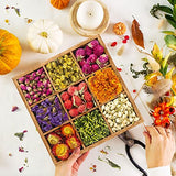 [Latest] 21 Pack Dried Flowers for Candle Making, 100% Natural Dried Herbs Kit for Soap Making, Bath, Resin Jewelry Making, Bulk Dried Flowers JAZIPO