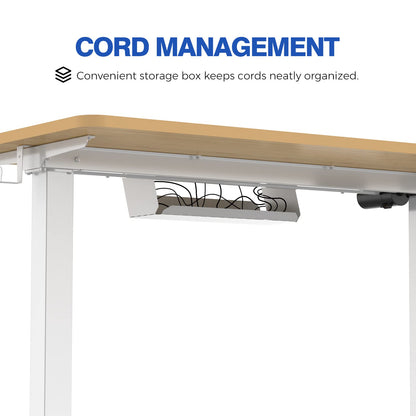 FLEXISPOT Standing Desk Quick Assembly Electric Sit Stand Desk with 40 x 24 Inches Whole-Piece Desktop Ergonomic Memory Controller Adjustable Height - WoodArtSupply