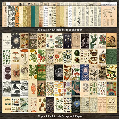Vintage Scrapbook Supplies Pack (200 Pieces) for Junk Journal Bullet  Journals Planners Botanical Paper Stickers Craft Kits Aesthetic Cottagecore