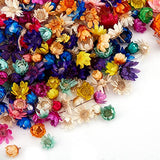 homeemoh 200 Pcs Mini Natural Dried Flowers, Small Dried Flowers Heads Natural Brazil Little Star Flowers for DIY Crafts Candle Making Epoxy homeemoh