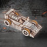 3D Wooden Puzzle T902 car - Wooden Puzzles for Adults - DIY Mechanical Model Building Kits, Wooden Craft Decoration Ornaments, Teen Educational STEM, ROEOLNIL