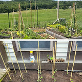 50Pcs Garden Stakes, 0.32”/16 Inch Bamboo Sticks，Natural Plant Stakes for Indoor and Outdoor Plants，Poles for Tomatoes, Beans, Potted Plants Anothera