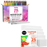 Chalkola Artist Bundle: 28 Watercolor Brush Pens + 25 Canvases Variety Pack Chalkola