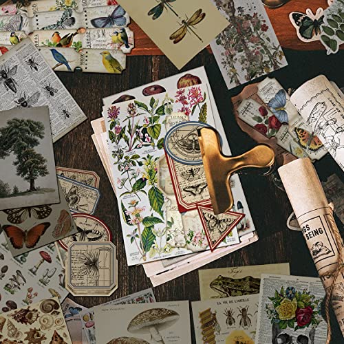 Aesthetic Scrapbooking Supplies Kit, Vintage Flowers Scrapbook Kit For  Bullet Junk Journal, Stationery, DIY Making Journaling Supplies Sticker,  Art Cr