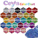 Ceya Holographic Chunky Glitter, 4.2oz/ 120g Purple Craft Glitter Powder Mixed Chunky & Fine Flakes Iridescent Nail Sequins for Nail Art, Hair, Epoxy ceya