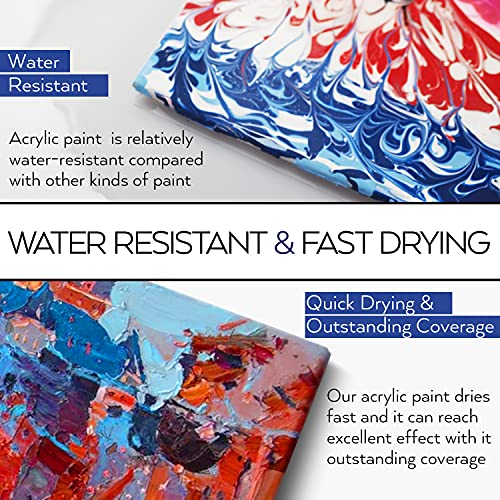 Acrylic Paint Set 36 PCS of 24 Colors 2fl oz 60ml Bottles with 12 Brushes,Non Toxic 24 Colors Acrylic Paint No Fading Rich Pigment for Kids Adults HissiCo