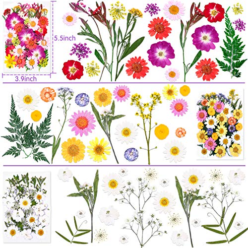 120 PCS Dried Flowers for Resin Molds, Natural Pressed Flowers Leaves Herbs kit with Tweezers for DIY Art Crafts, Candle,Jewelry Making, Scrapbook Cruzix
