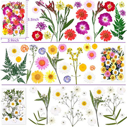 120 PCS Dried Flowers for Resin Molds, Natural Pressed Flowers Leaves Herbs kit with Tweezers for DIY Art Crafts, Candle,Jewelry Making, Scrapbook - WoodArtSupply