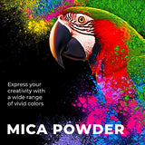 Mica Powder for Epoxy Resin - Pigment Powder for Nails - Epoxy Resin Color Pigment - Mica Powder for Soap Making, Lip Gloss – 24 Jars, 10g of Epoxy Soap Shop