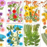 96Pcs Dried Flowers for Resin, Bulk Natural Dried Pressed Flowers,for Scrapbooking DIY Art Crafts Resin Accessories, Soap,Candle Making, Nails Decor, Kaddmedia