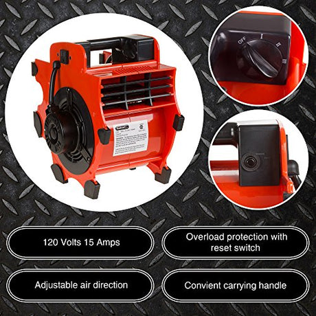 Blower Fan - 3-Speed Heavy-Duty Floor and Carpet Dryer - 1600 watts -Portable Air Mover with 4 Different Angles for Basements, Cars or Garages by Stalwart